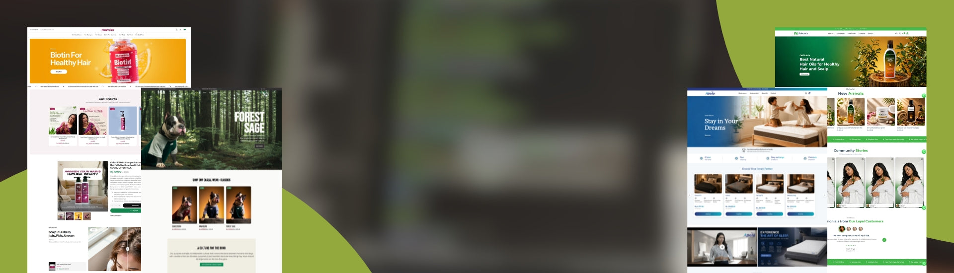 Want to create a Shopify Store